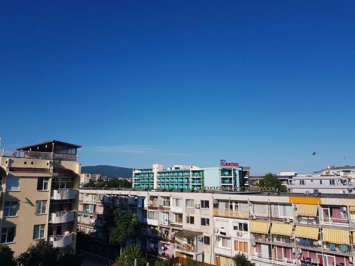 Guest Apartments Salena 써니비치 외부 사진