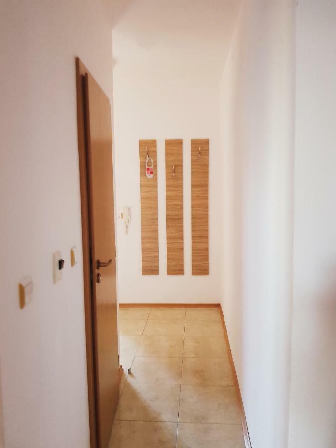Guest Apartments Salena 써니비치 외부 사진